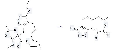 5-Isoxazolepropanoic acid, α-amino-4-hexyl-3-hydroxy- can be prepared by 2-acetylamino-2-(3-ethoxy-4-hexyl-isoxazol-5-ylmethyl)-malonic acid diethyl ester by heating